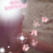 ヒメ日記 2025/12/29 22:05 投稿 松山つばき 松戸人妻花壇