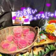 ヒメ日記 2026/01/11 17:47 投稿 松山つばき 松戸人妻花壇