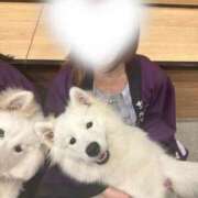 ヒメ日記 2025/06/16 12:43 投稿 あさひ 全裸SUPERプレミアム