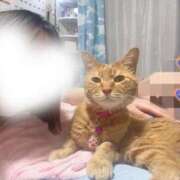 ヒメ日記 2025/06/26 12:33 投稿 あさひ 全裸SUPERプレミアム