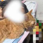 ヒメ日記 2025/08/04 23:30 投稿 あさひ 全裸SUPERプレミアム