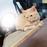 ヒメ日記 2025/10/25 12:45 投稿 あさひ 全裸SUPERプレミアム