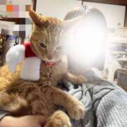 ヒメ日記 2025/12/18 22:45 投稿 あさひ 全裸SUPERプレミアム