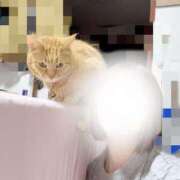 ヒメ日記 2025/12/21 22:02 投稿 あさひ 全裸SUPERプレミアム