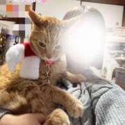 ヒメ日記 2026/02/09 18:45 投稿 あさひ 全裸SUPERプレミアム