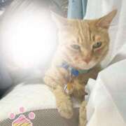 ヒメ日記 2026/02/22 17:02 投稿 あさひ 全裸SUPERプレミアム