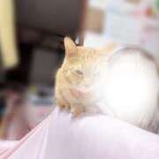 ヒメ日記 2026/03/10 12:41 投稿 あさひ 全裸SUPERプレミアム