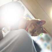 ヒメ日記 2026/03/25 21:33 投稿 あさひ 全裸SUPERプレミアム