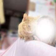 ヒメ日記 2026/03/29 21:03 投稿 あさひ 全裸SUPERプレミアム