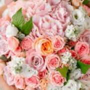 ヒメ日記 2025/08/31 16:20 投稿 こすもす 小岩人妻花壇