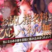 ヒメ日記 2025/02/25 10:57 投稿 あさひ 三つ乱本館