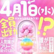 ヒメ日記 2026/04/01 09:57 投稿 あさひ 三つ乱本館