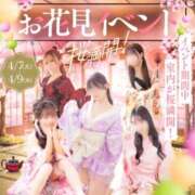 ヒメ日記 2026/04/09 09:37 投稿 あさひ 三つ乱本館