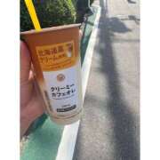 ヒメ日記 2025/06/02 09:18 投稿 ひな 三つ乱本館