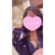 ヒメ日記 2025/06/28 09:47 投稿 ひな 三つ乱本館