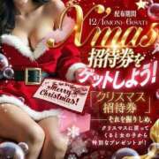 ヒメ日記 2025/11/27 07:07 投稿 ひな 三つ乱本館