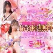 ヒメ日記 2025/12/01 15:07 投稿 ひな 三つ乱本館