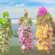 ヒメ日記 2025/04/21 15:27 投稿 りん 三つ乱本館