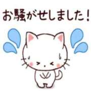 ヒメ日記 2025/05/04 10:57 投稿 りん 三つ乱本館