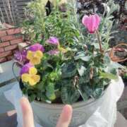 ヒメ日記 2025/12/21 00:27 投稿 りん 三つ乱本館