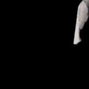 ヒメ日記 2026/01/11 23:55 投稿 りん 三つ乱本館