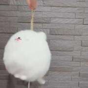 りん もふもふ 三つ乱本館