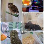 ヒメ日記 2024/12/14 13:42 投稿 みあき マダムン谷九