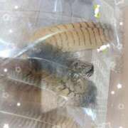 ヒメ日記 2024/12/14 19:52 投稿 みあき マダムン谷九