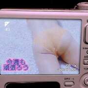 ヒメ日記 2024/12/16 09:42 投稿 みあき マダムン谷九