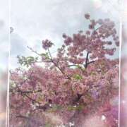 ヒメ日記 2025/04/04 09:52 投稿 みあき マダムン谷九