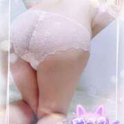 ヒメ日記 2025/10/24 10:03 投稿 みあき マダムン谷九