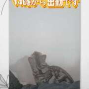 ヒメ日記 2026/07/17 10:20 投稿 みあき マダムン谷九