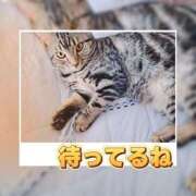 ヒメ日記 2026/07/24 09:52 投稿 みあき マダムン谷九