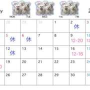 ヒメ日記 2025/05/02 22:04 投稿 WAKABA Big Tits(ビッグティッツ)