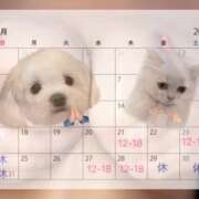 ヒメ日記 2025/08/19 18:36 投稿 WAKABA Big Tits(ビッグティッツ)