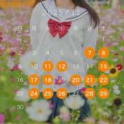 ヒメ日記 2025/11/08 00:40 投稿 明日乃ひな 横浜平成女学園