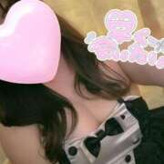 ヒメ日記 2025/07/12 12:29 投稿 えみり 愛媛松山ちゃんこ