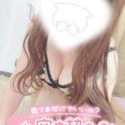 ヒメ日記 2025/09/27 15:09 投稿 えみり 愛媛松山ちゃんこ