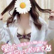 ヒメ日記 2025/12/08 19:49 投稿 えみり 愛媛松山ちゃんこ