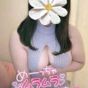 ヒメ日記 2026/03/17 10:49 投稿 えみり 愛媛松山ちゃんこ