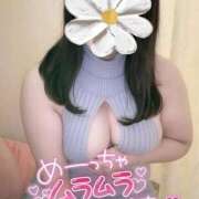 ヒメ日記 2026/06/19 14:41 投稿 えみり 愛媛松山ちゃんこ