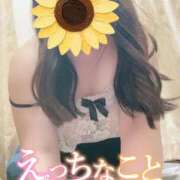 ヒメ日記 2026/07/16 11:01 投稿 えみり 愛媛松山ちゃんこ