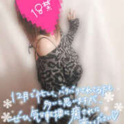 ヒメ日記 2025/12/04 01:22 投稿 りん 若妻淫乱倶楽部