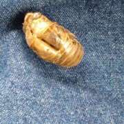 ヒメ日記 2025/08/14 13:58 投稿 藤代まひろ 五十路マダム静岡店（カサブランカG）