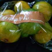 ヒメ日記 2025/09/29 12:34 投稿 藤代まひろ 五十路マダム静岡店（カサブランカG）