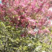 藤代まひろ 帰り道 五十路マダム静岡店（カサブランカG）