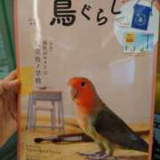 ヒメ日記 2023/09/26 15:43 投稿 みどり 大塚角海老