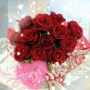 ヒメ日記 2024/12/26 21:07 投稿 沢口　りな 昼下がりの情事