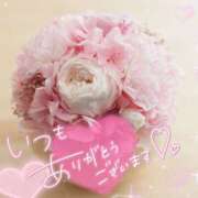 ヒメ日記 2025/02/01 22:07 投稿 沢口　りな 昼下がりの情事