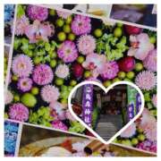 ヒメ日記 2025/04/08 20:28 投稿 沢口　りな 昼下がりの情事